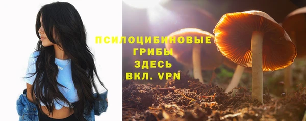 прущий лед Михайлов