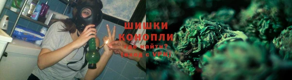 сатива Михайловка