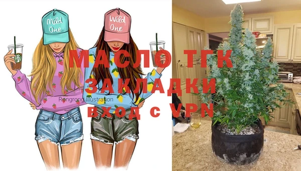 сатива Михайловка