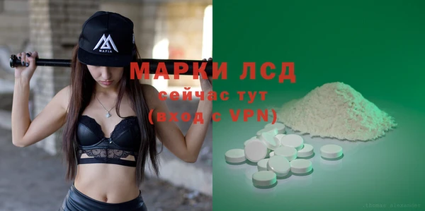 сатива Михайловка