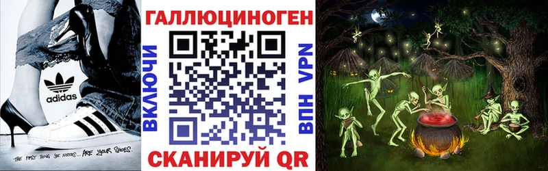 нарко площадка телеграм  цена наркотик  mega ССЫЛКА  Новокузнецк  Псилоцибиновые грибы Psilocybe 