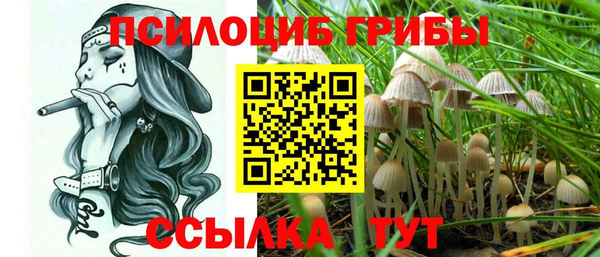 Новокузнецк  что такое   Вход с VPN  Галлюциногенные грибы мицелий 
