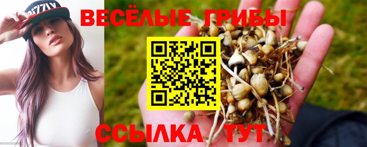 Галлюциногенные грибы ЛСД Новокузнецк